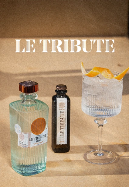 Botella de Le Tribute Gin, tónica Le Tribute y copa de gin tonic con piel de naranja al sol, proyecto de SEO y web de KLOROFiLA