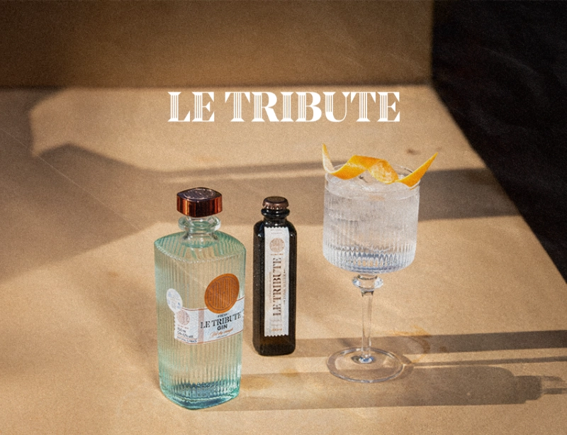 Botella de Le Tribute Gin, tónica Le Tribute y copa de gin tonic con piel de naranja al sol, proyecto de SEO y web de KLOROFiLA